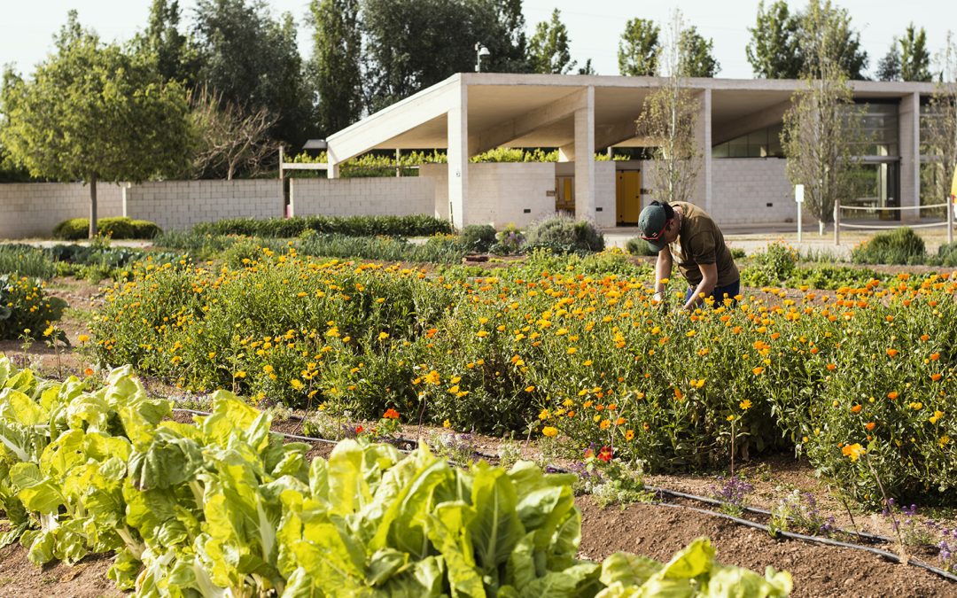 Nuevo Certificado de Profesionalidad en Agricultura Ecológica