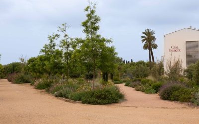 Inicio 7 ¿Te gustaría trabajar al aire libre? Fórmate en jardinería y viveros