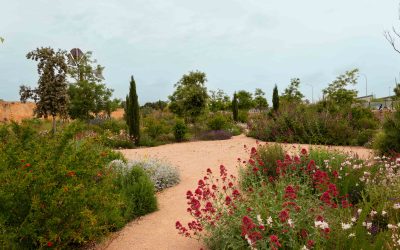 Inicio 7 Jornada de puertas abiertas para conocer el nuevo curso de jardinería